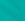Bright Spearmint