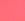 Soft Coral