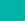 Bright Spearmint