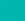 Bright Spearmint