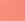 Soft Coral