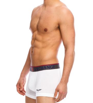 Eagle Print Trunk