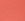 Rhubarb