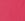 Fuschia